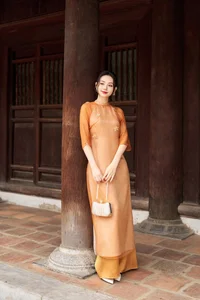 Timeless Grace: Amber Ao Dai in Ancient Architecture - image 0
