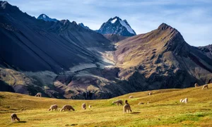 Exploring the Vibrant Rainbow Mountain: A Breathtaking Journey Through Nature’s Palette - image 2