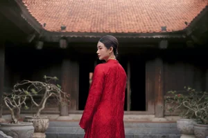 Timeless Elegance: A Red Heritage Moment in Ancient Architecture - image 4