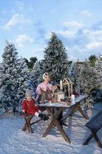 Giang My: Ageless U55 Beauty Shines Bright Celebrating Christmas Amidst Snowy Scenery - image 0