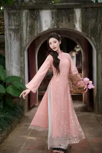 Discover Asian Beauty: Elegant Girl in Dreamy Pink Ao Dai Portrait - image 14
