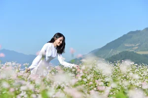 Elegant Beauty Gallery: Tran Thu Trang Amidst the Breathtaking Buckwheat Flower Fields of the Highlands - image 4