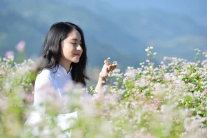 Elegant Beauty Gallery: Tran Thu Trang Amidst the Breathtaking Buckwheat Flower Fields of the Highlands - image 9