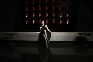 The Elegance of Bei Ji in YiTuYu Art Language Vol.4688: A Digital Showcase - image 24