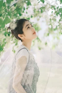 Modern Aesthetics and Grace: Fan Fan in YiTuYu Art Language Vol.7084 - image 3