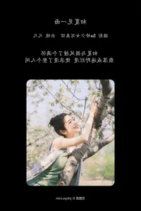 Modern Aesthetics and Grace: Fan Fan in YiTuYu Art Language Vol.7084 - image 16
