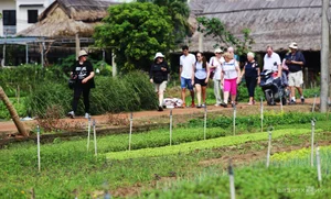 Tra Que Vegetable Village: Recognized as One of the Best Tourism Villages Globally - image 4