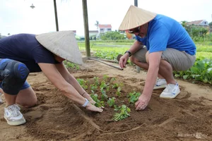 Tra Que Vegetable Village: Recognized as One of the Best Tourism Villages Globally - image 3