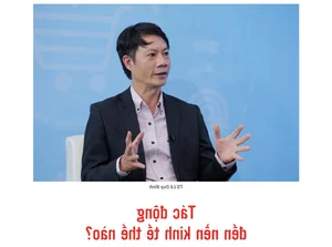 Balancing Growth: Boosting Tourism and Consumption while Solving Traffic Congestion - image 1