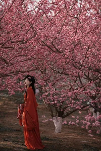 The Essence of Grace: Yi Xuan in YiTuYu Art Language Vol.7083 - image 26