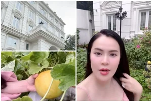 Inside Miss Phuong Le’s $8 Million Luxury Villa and Her Incredible Organic Vegetable Garden - image 10