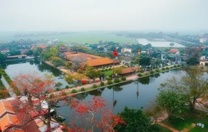 The Stunning Red Silk Cotton Flowers of Thai Binh: A Springtime Rural Spectacle - image 4
