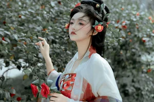 The Graceful Artistry of Hua Li: Art Language Vol.6491 - image 13