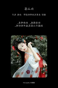 The Graceful Artistry of Hua Li: Art Language Vol.6491 - image 20