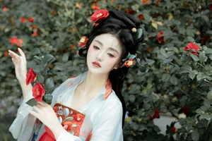 The Graceful Artistry of Hua Li: Art Language Vol.6491 - image 17