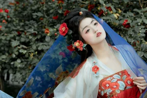 The Graceful Artistry of Hua Li: Art Language Vol.6491 - image 0