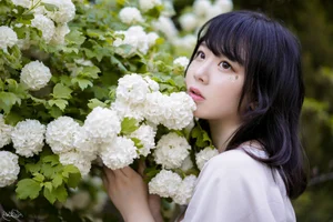 Dreamy Hydrangea Garden Cosplay: Aesthetic Floral Photoshoot by Pi Pi Nai Ke Ke Ai Le La featuring Soft Pastel Summer Vibes - image 13