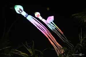 International Kite Festival in Quang Nam: 13 Nations Paint the Vietnamese Sky - image 2
