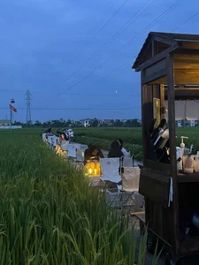 Experience the Charm of a Unique Coffee Shop Nestled in the Green Rice Fields of Thai Binh - image 1