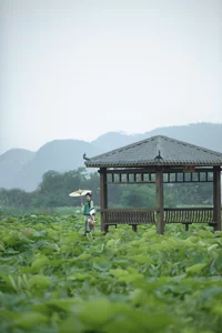 YiTuYu Art Language Vol.7167: Featuring the Elegant Tian Tian Quan Quan - image 9