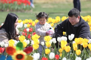 Spring Blossoms Across China: A Vibrant Journey Through Nature's Best Seasonal Displays - image 5