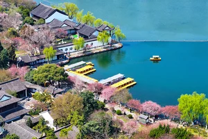 Spring Blossoms Across China: A Vibrant Journey Through Nature's Best Seasonal Displays - image 0