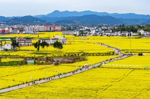 Spring Blossoms Across China: A Vibrant Journey Through Nature's Best Seasonal Displays - image 3