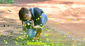 Discover the Enchanting Butterfly Season in Ma Da Forest: A Nature Lover's Paradise in Vietnam - image 6