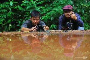 Discover the Enchanting Butterfly Season in Ma Da Forest: A Nature Lover's Paradise in Vietnam - image 1