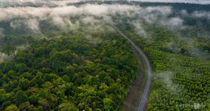 Discover the Enchanting Butterfly Season in Ma Da Forest: A Nature Lover's Paradise in Vietnam - image 2