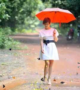 Discover the Enchanting Butterfly Season in Ma Da Forest: A Nature Lover's Paradise in Vietnam - image 8