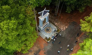Discover the Enchanting Butterfly Season in Ma Da Forest: A Nature Lover's Paradise in Vietnam - image 4