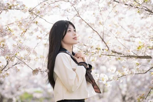 YiTuYu Art Language Vol.6719: Exploring Style with An Qi Bu Chi Xiang Gu - image 12