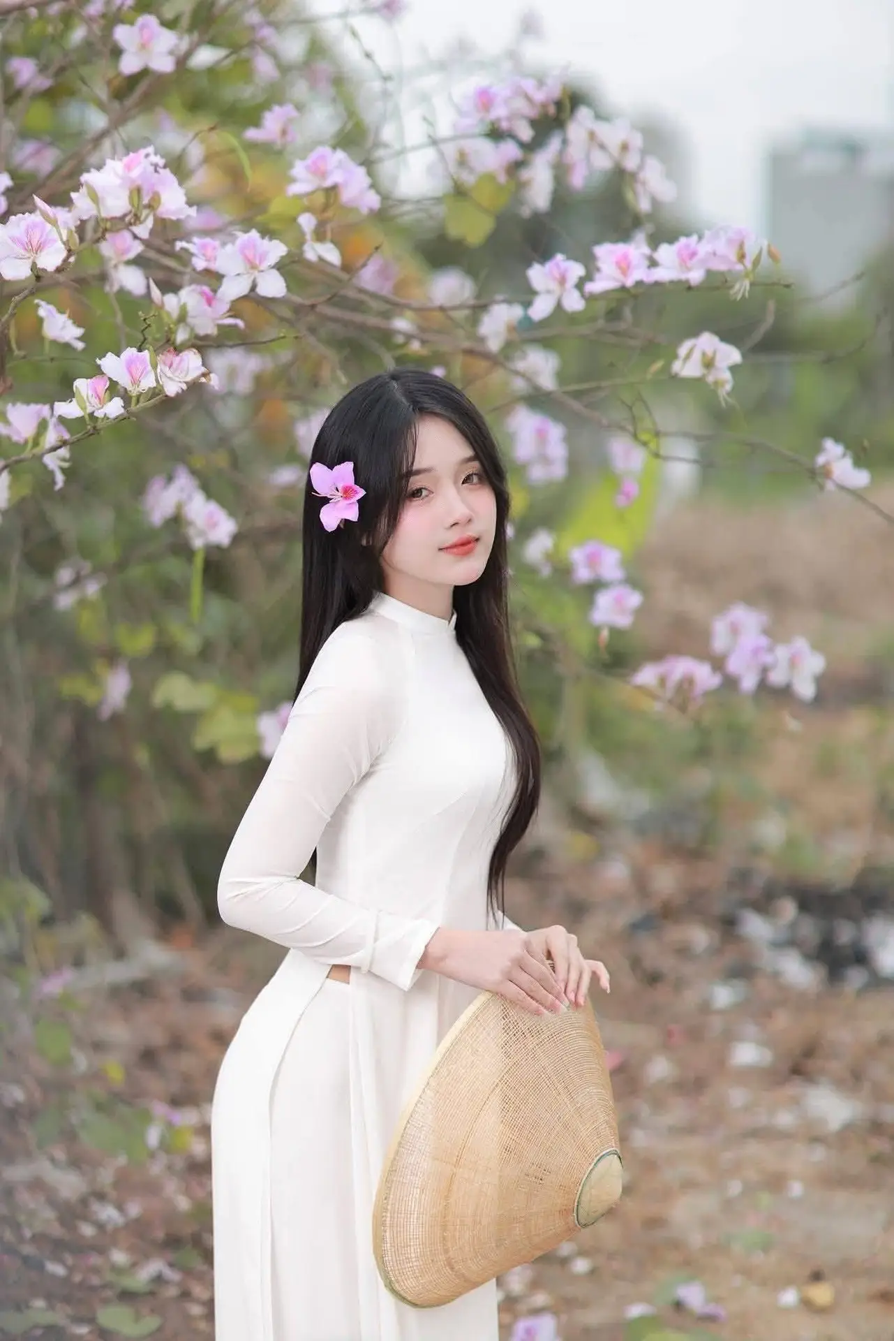 Elegant Vietnamese Student in Ao Dai Amidst Bauhinia Flowers