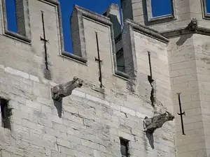 Explore Avignon Papal Palace: Europe's Grandest Gothic Marvel - image 6