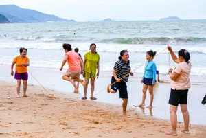 Quy Nhon Beaches Attract Thousands as Tourism Surges in Vietnam - image 2