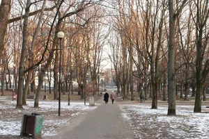 Exploring the Serene Life: A Journey Through the Peaceful Streets of Poland's Capital - image 5