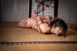 The Art of Shibari: Exploring the Beauty and Complexity of Traditional Japanese Rope Bondage - image 20