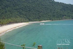 Cu Lao Cham: Da Nang’s UNESCO Biosphere Reserve and Eco-Tourism Paradise - image 1