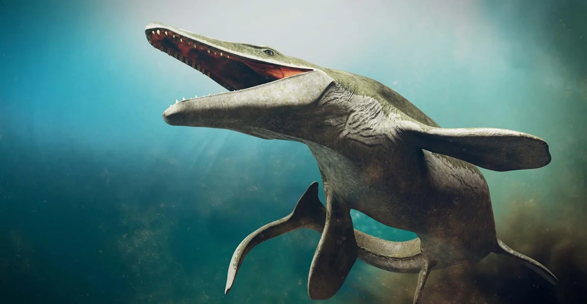 Massive Prehistoric Sea Monster Discovered: The Ancient Pluridens imelaki Mosasaur Uncovered in Morocco's Late Cretaceous Fossil Beds