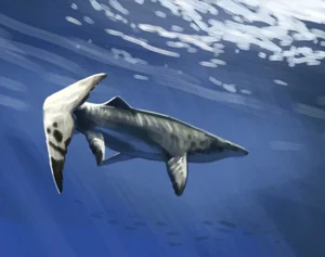 Massive Prehistoric Sea Monster Discovered: The Ancient Pluridens imelaki Mosasaur Uncovered in Morocco's Late Cretaceous Fossil Beds - image 1