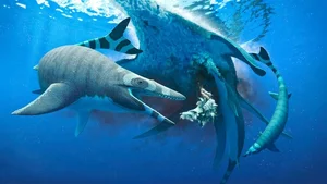 Massive Prehistoric Sea Monster Discovered: The Ancient Pluridens imelaki Mosasaur Uncovered in Morocco's Late Cretaceous Fossil Beds - image 3