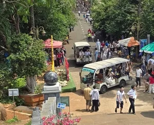 Discover Gia Lai: Vietnam’s Central Highlands Gem Sees Massive Growth with 945,000 Visitors and Record Revenue - image 4