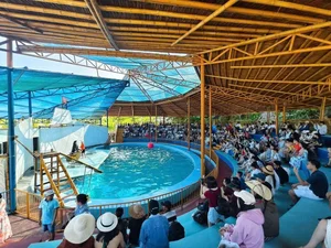 Discover Gia Lai: Vietnam’s Central Highlands Gem Sees Massive Growth with 945,000 Visitors and Record Revenue - image 2