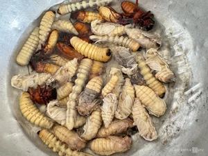 Exploring the Exotic Flavors of Northwest Vietnam's Local Markets - image 13