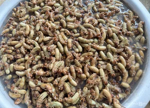 Exploring the Exotic Flavors of Northwest Vietnam's Local Markets - image 3