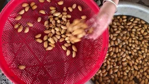 Exploring the Exotic Flavors of Northwest Vietnam's Local Markets - image 12