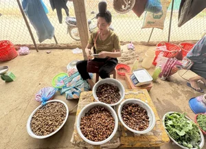 Exploring the Exotic Flavors of Northwest Vietnam's Local Markets - image 8