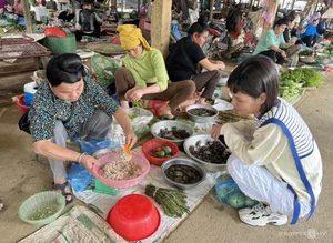 Exploring the Exotic Flavors of Northwest Vietnam's Local Markets - image 9