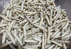 Exploring the Exotic Flavors of Northwest Vietnam's Local Markets - image 11